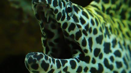 Oceanarium Niechorze