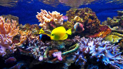 Oceanarium Niechorze
