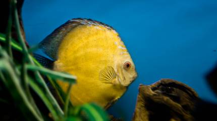 Oceanarium Niechorze