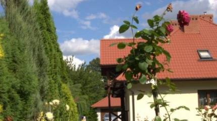 Willa Faustynka