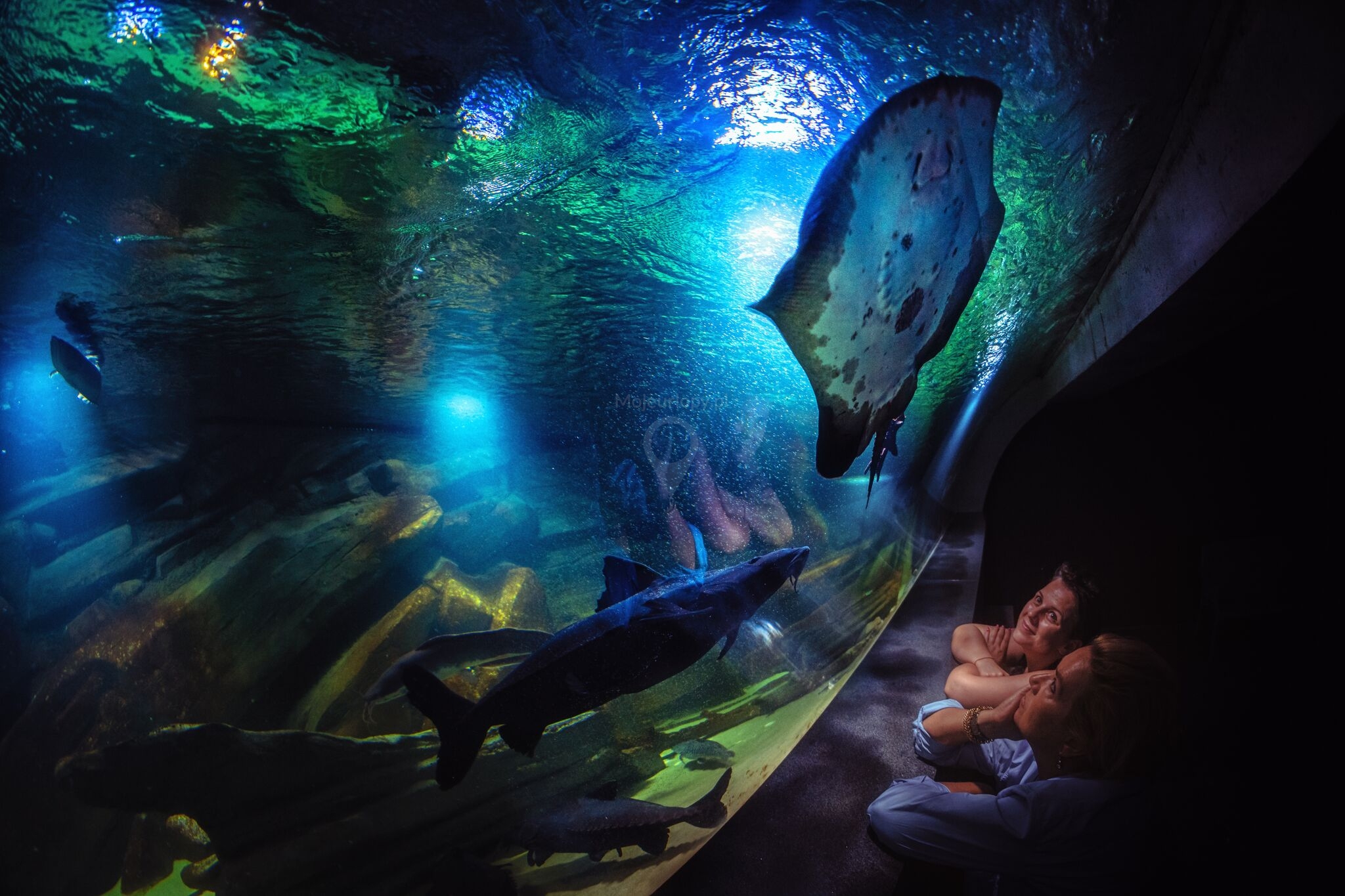 Oceanarium Mi dzyzdroje Bohater w Warszawy 16 B