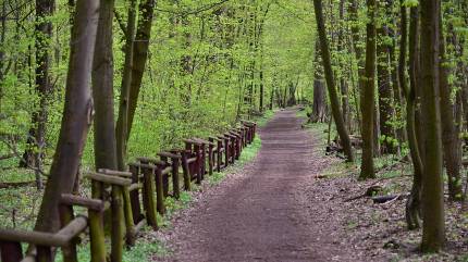 By Adrian Grycuk - Praca własna, CC BY-SA 3.0 pl, https://commons.wikimedia.org/w/index.php?curid=63555520