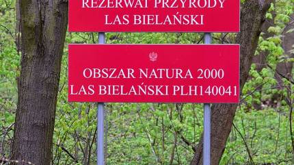 By Adrian Grycuk - Praca własna, CC BY-SA 3.0 pl, https://commons.wikimedia.org/w/index.php?curid=63617863