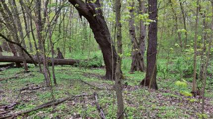 By Adrian Grycuk - Praca własna, CC BY-SA 3.0 pl, https://commons.wikimedia.org/w/index.php?curid=63534468