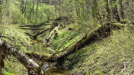 By Dariusz Kowalczyk - Praca własna, CC BY-SA 4.0, https://commons.wikimedia.org/w/index.php?curid=39707781