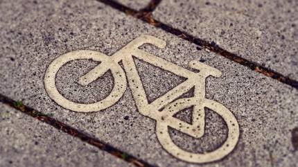 Szlaki piesze i rowerowe