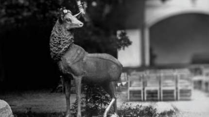 Pomnik jelenia, park w Mielnie za restauracją Floryn, w tle muszla koncertowa, lata 70-te