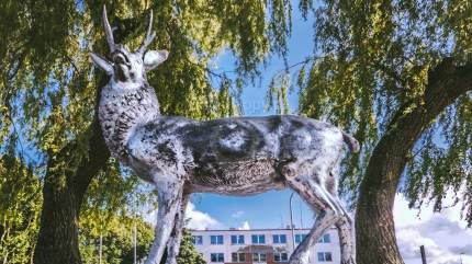 Pomnik jelenia w Mielnie przed Urzędem Miasta