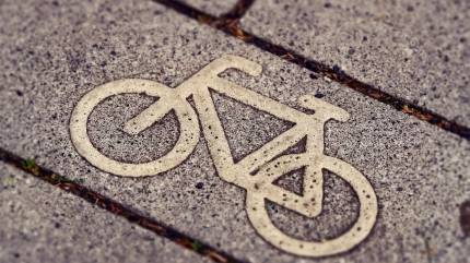 Szlaki piesze i rowerowe