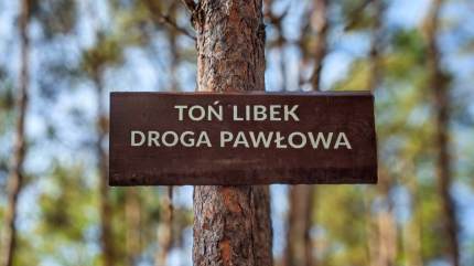 Toń Libek i Droga Pawłowa obok Góry Libek w Kuźnicy. Fot. Łukasz Grzejszczak Mojeurlopy.pl