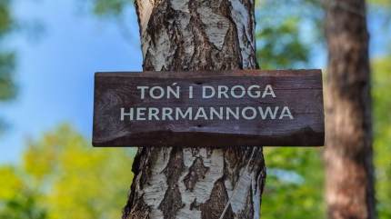 Toń i droga Herrmannowa w okolicy Góry Libek. Kuźnica - Jastarnia. Fot. Łukasz Grzejszczak Mojeurlopy.pl