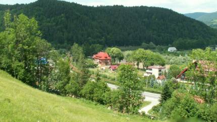 Orlęta