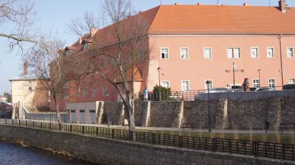 Muzeum Przyrodnicze - Jelenia Góra, Cieplicka 11A fot. Muzeum Przyrodnicze