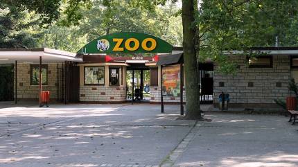 Nowe Zoo. Fot. Koroniec - Praca własna, CC BY-SA 4.0, https://commons.wikimedia.org