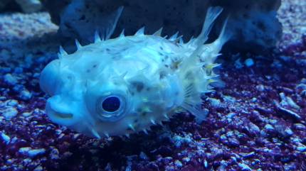 Oceanarium Kołobrzeg