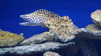 Oceanarium Kołobrzeg