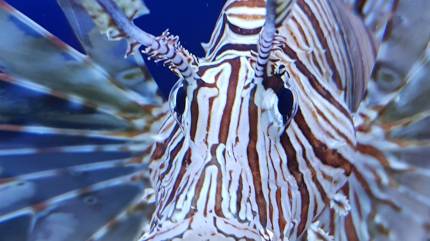 Oceanarium Kołobrzeg