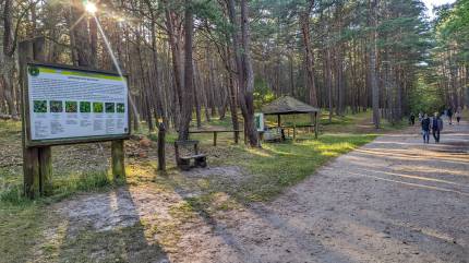 Tablica informacyjna na drodze przez las do plaży w Wisełce. Fot. Łukasz Grzejszczak Mojeurlopy.pl