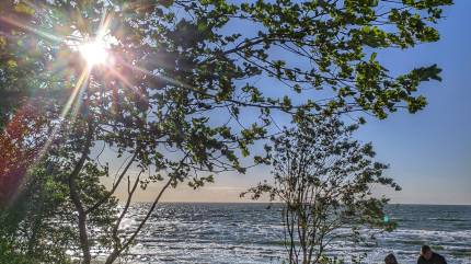 Klimatyczne zejście na plażę w Wisełce (za Karczmą Na Wydmach). Fot. Łukasz Grzejszczak Mojeurlopy.pl