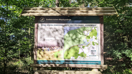 Informacje i mapa - leśna ścieżka rowerowa żółwińsko - warnowska. Fot. Łukasz Grzejszczak Mojeurlopy.pl