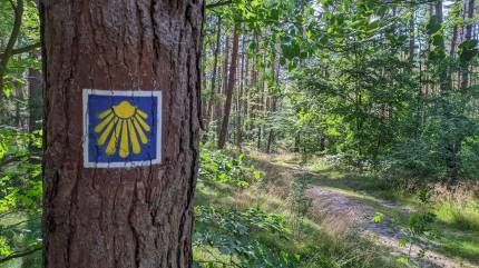 Obok Jeziora Zatorek biegnie Pomorska Droga św. Jakuba, która prowadzi do Santiago de Compostela. Fot. Łukasz Grzejszczak Mojeurlopy.pl