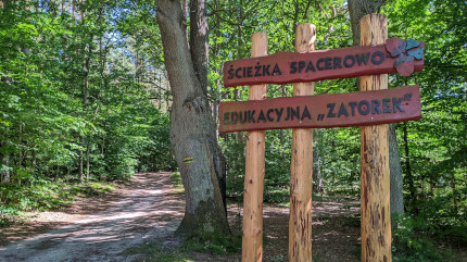 Ścieżka spacerowo - edukacyjna 'Zatorek' biegnie wzdłuż południowego brzegu jeziora. Fot. Łukasz Grzejszczak Mojeurlopy.pl