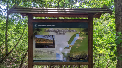 Mapa przystanków leśnej ścieżki spacerowo - edukacyjnej 'Zatorek' k. Wisełki. Fot. Łukasz Grzejszczak Mojeurlopy.pl