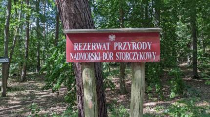 Nadmorski Bór Storczykowy - Rezerwat Przyrody Fot. Łukasz Grzejszczak Mojeurlopy.pl