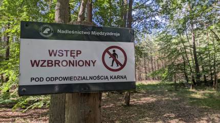 Nadmorski Bór Storczykowy - Rezerwat Przyrody Fot. Łukasz Grzejszczak Mojeurlopy.pl