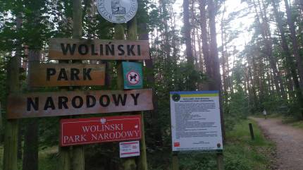 Wejście na plażę za parkingiem leśnym. Fot. Łukasz Grzejszczak Mojeurlopy.pl