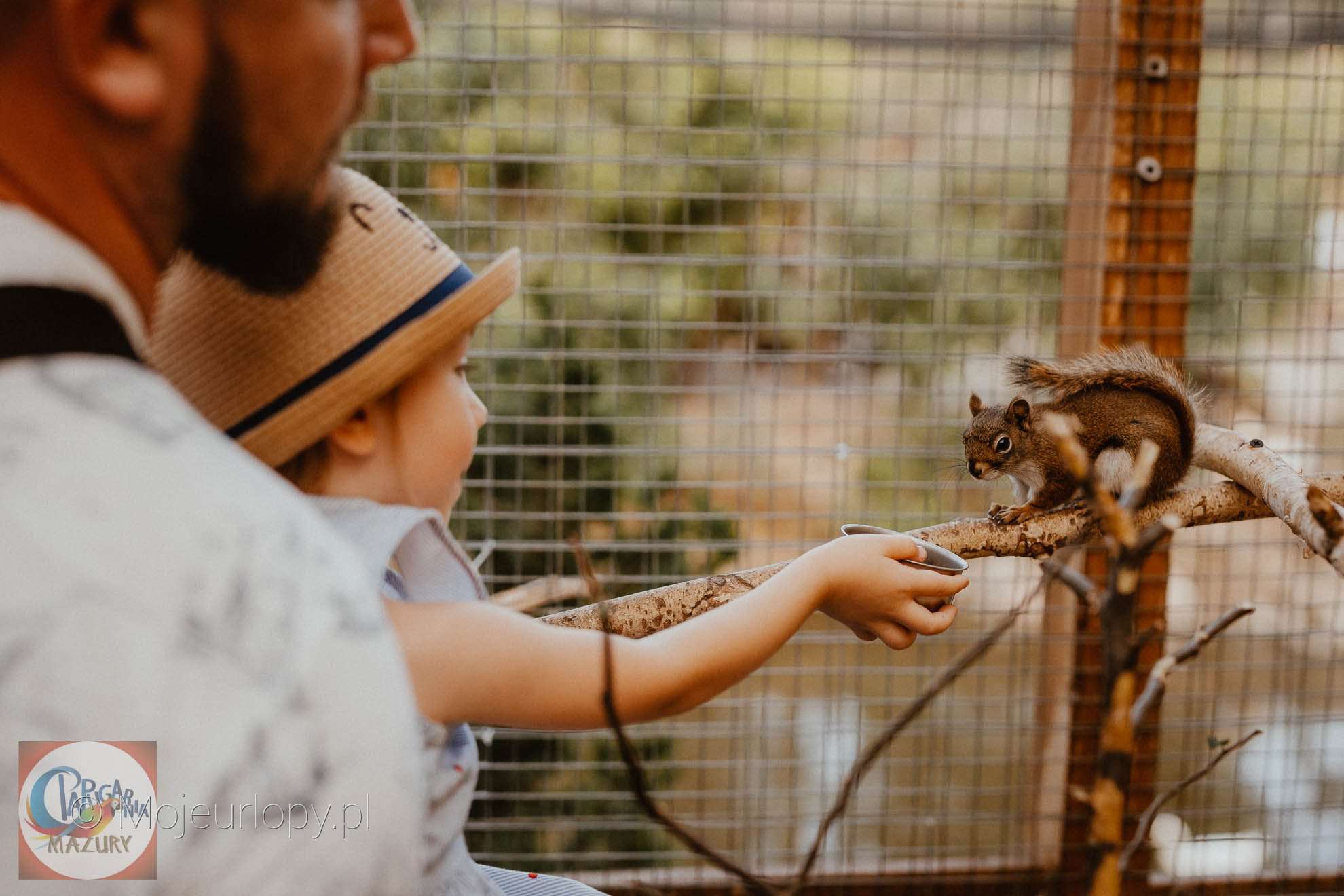 papugarnia-mazury-i-mini-zoo-wilkasy-olszty-ska-19c