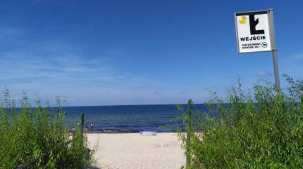 Plaża dla psów Ł w Międzyzdrojach. Fot. Łukasz Grzejszczak Mojeurlopy.pl