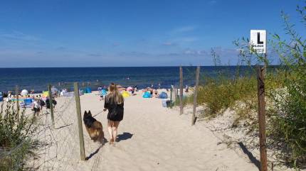 Wejście na plażę dla psów, sektor L. Fot. Łukasz Grzejszczak Mojeurlopy.pl