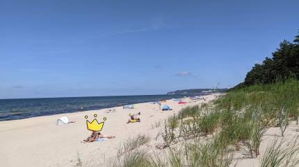 Plaża naturystów, Międzyzdroje - Lubiewo, 'Król jest tylko jeden' . Fot. Łukasz Grzejszczak Mojeurlopy.pl