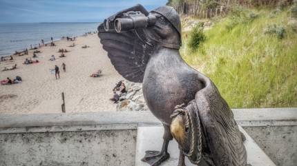 Mewa Marian jako ratownik patroluje zachodnią plaźę nr 23 w Kołobrzegu. Fot. Łukasz Grzejszczak Mojeurlopy.pl