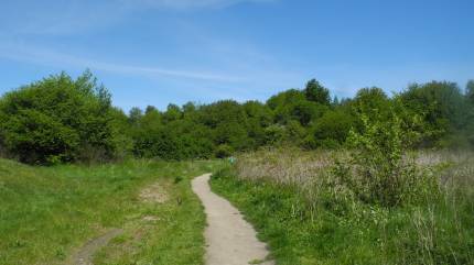 Nadmorski Park Krajobrazowy - Dolina Chłapowska. Fot. Łukasz Grzejszczak Mojeurlopy.pl