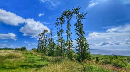 Widok spod Swarzewskich Palm, w tle Zatoka Pucka. Fot. Łukasz Grzejszczak Mojeurlopy.pl