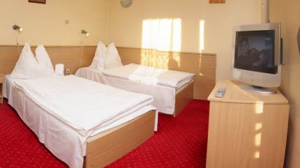Hotel Wiktoria
