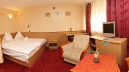 Hotel Wiktoria