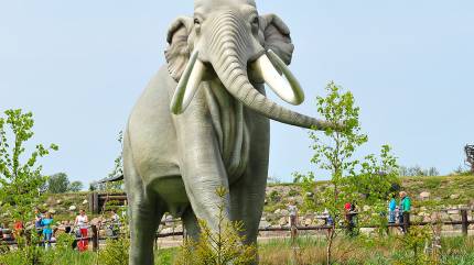 Park Dinozaurów