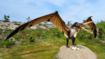 Park Dinozaurów