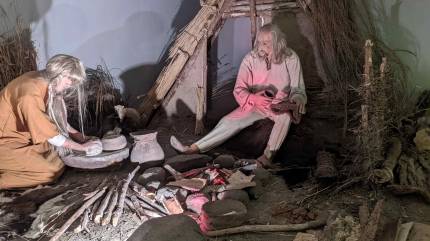 Muzeum Przyrodnicze Wolińskiego Parku Narodowego Międzyzdroje. Fot. Łukasz Grzejszczak Mojeurlopy.pl