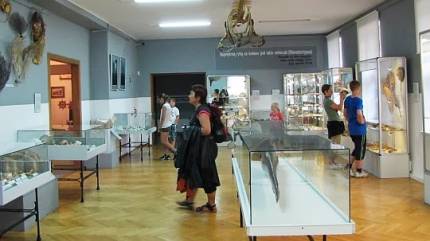Muzeum Rybołówstwa Morskiego