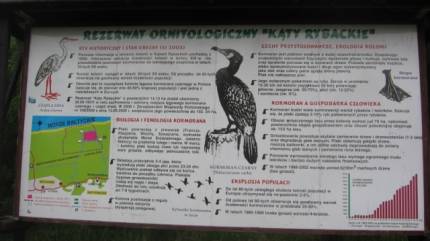 Rezerwat ornitologiczny