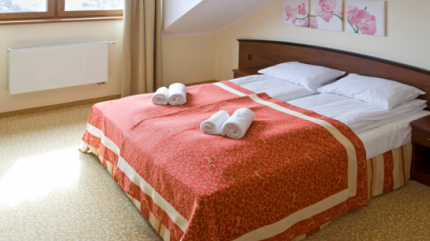 Hotel Zieleniec***