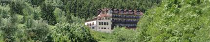 Hotel Zieleniec***