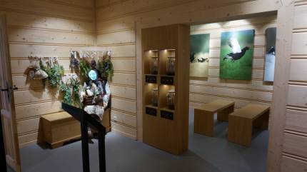 Centrum Promocji i Ochrony Torfowisk